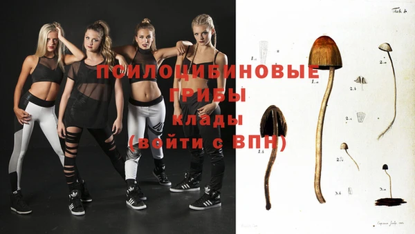мяу мяу мука Надым